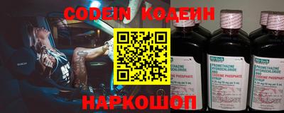 крисы Кингисепп